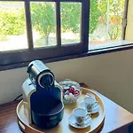 Salgado * 噶凡哈达纳扎雷