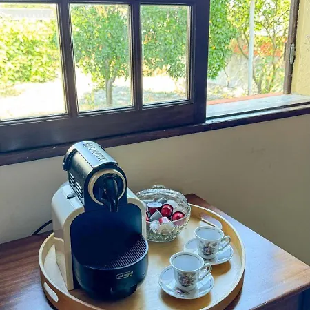 Salgado * Gafanha da Nazaré