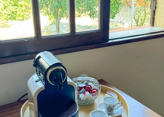 Salgado * Gafanha da Nazaré